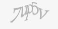 Защитный код