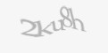 Защитный код