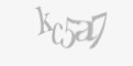 Защитный код